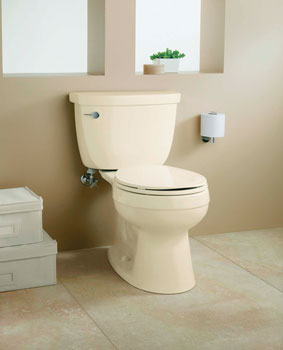 The Cimarron toilet by Kohler, $246